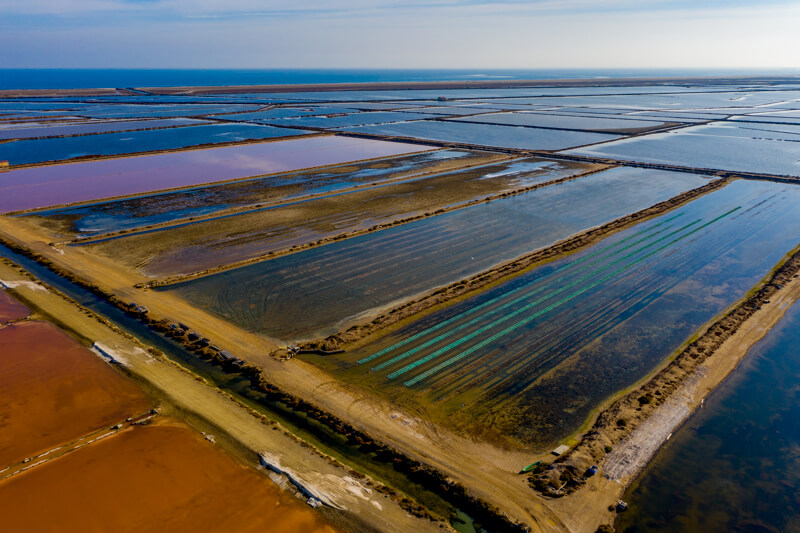 GRUISSAN SALIN HUITRE